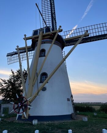 Windmühle in Herkingen