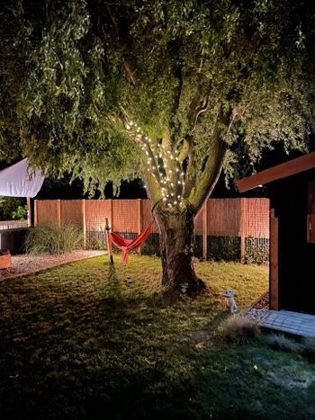 Blick auf die Hängematte