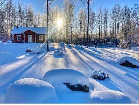 Tassgarden im Winter