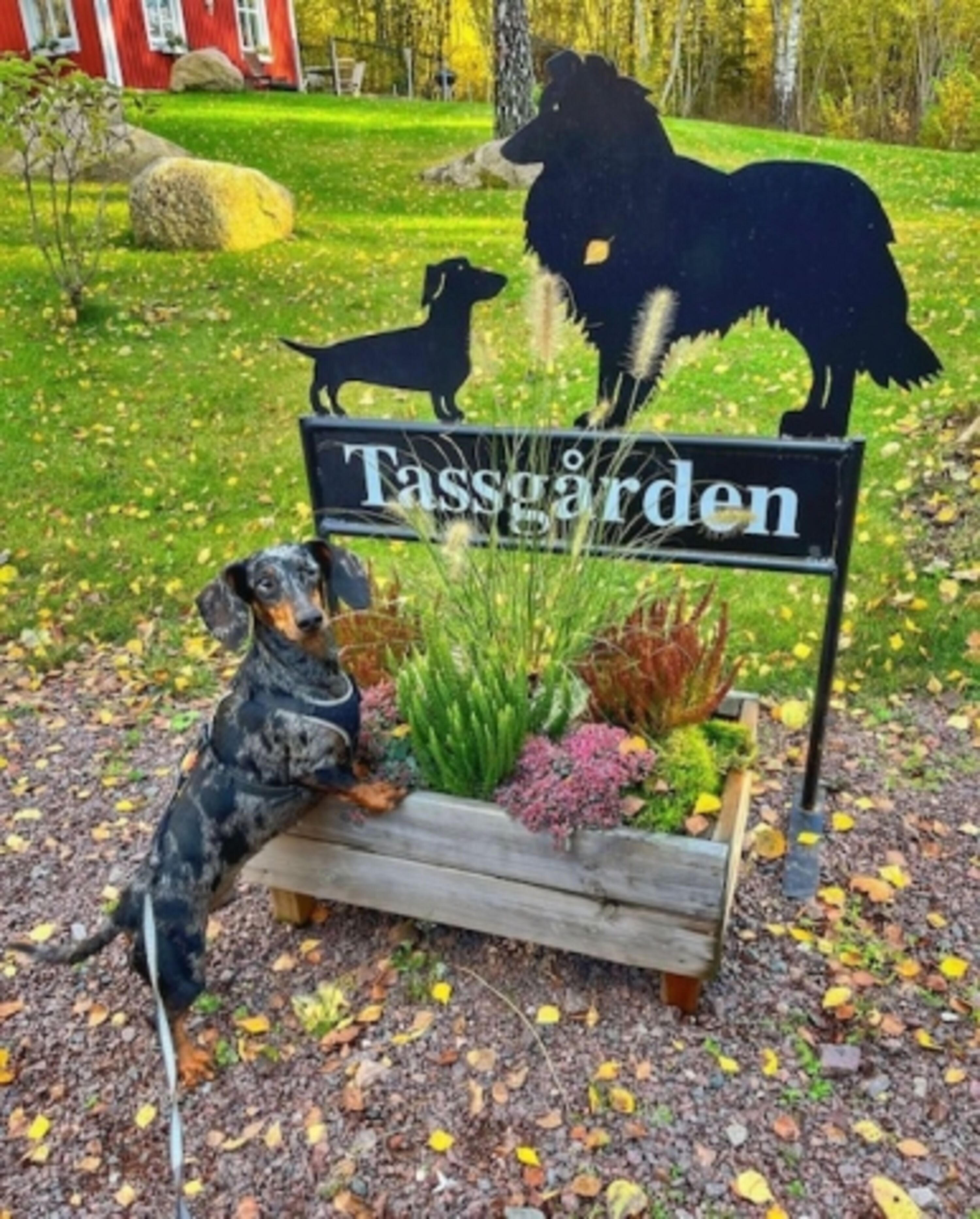 Bild 18