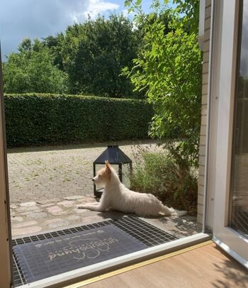 Blick von der Küchentür in den Garten 