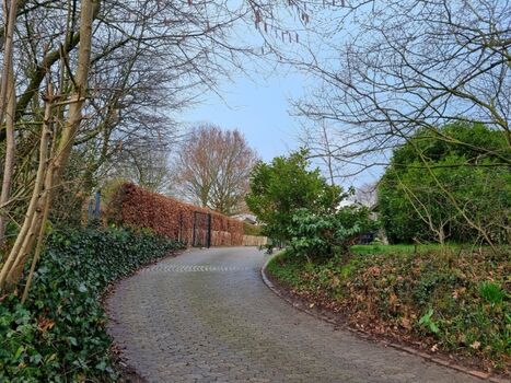 Auffahrt zum Grundstück