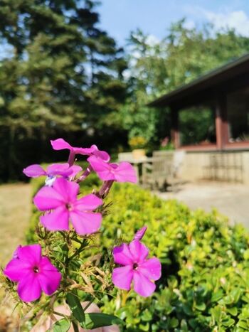 Blick auf Wintergarten und Terrasse