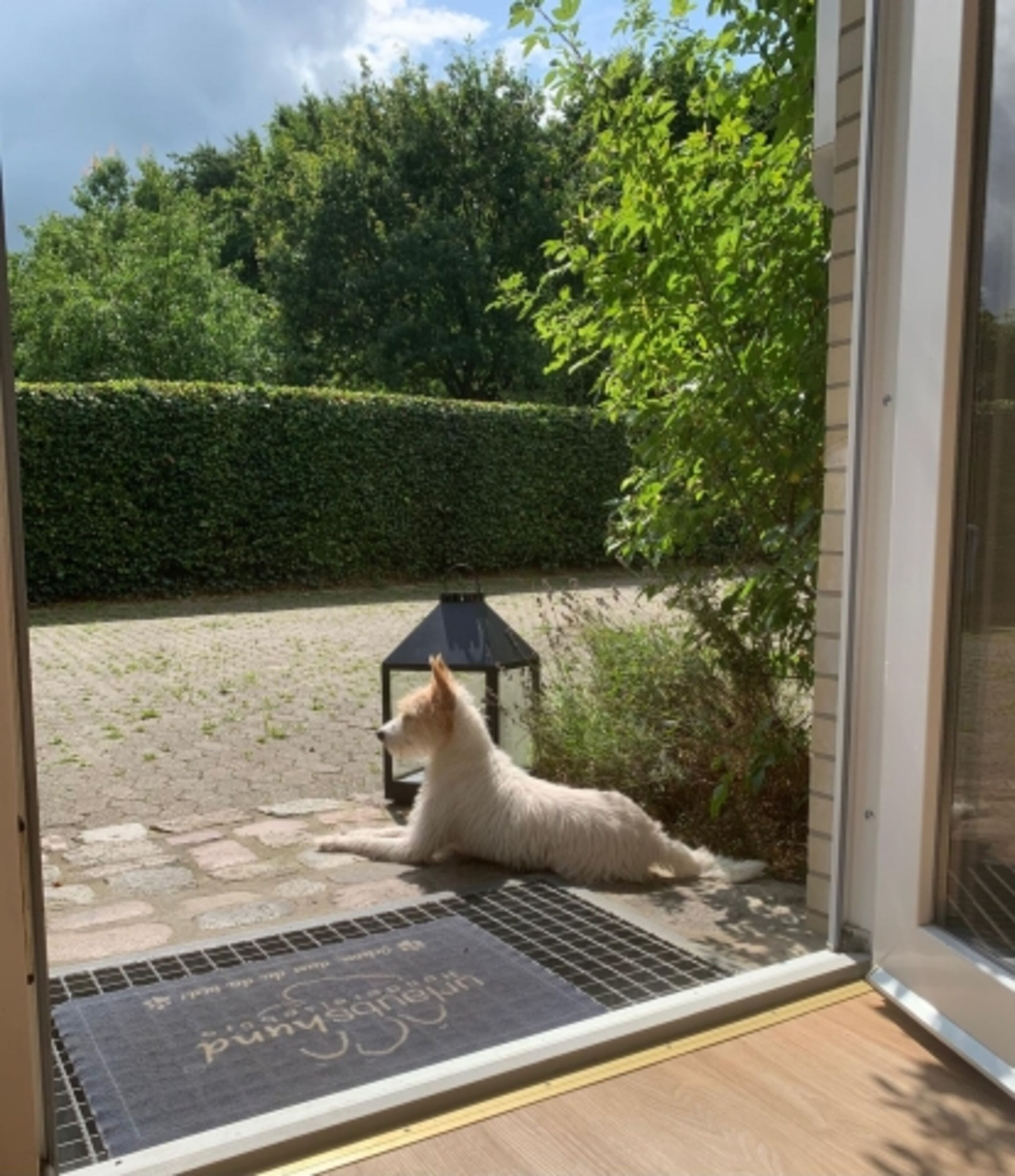 Blick von der Küchentür in den Garten 