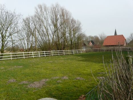 Hundewiese haubarg am meer