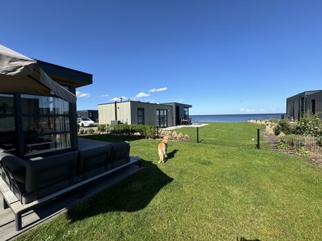 ....mit Haushund Beau