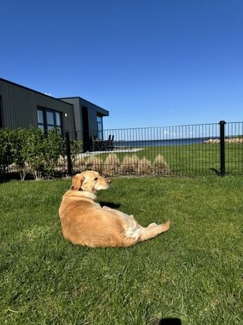 ...für die ganze Familie :-)