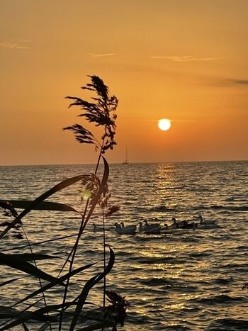 Sonnenaufgang über dem Meer