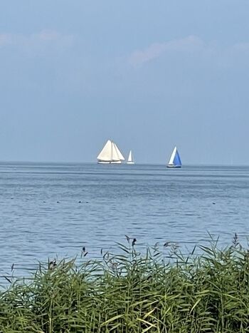 Segelschiffe so weit das Auge reicht