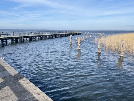 Bodden