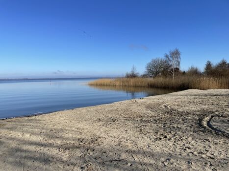 Bodden