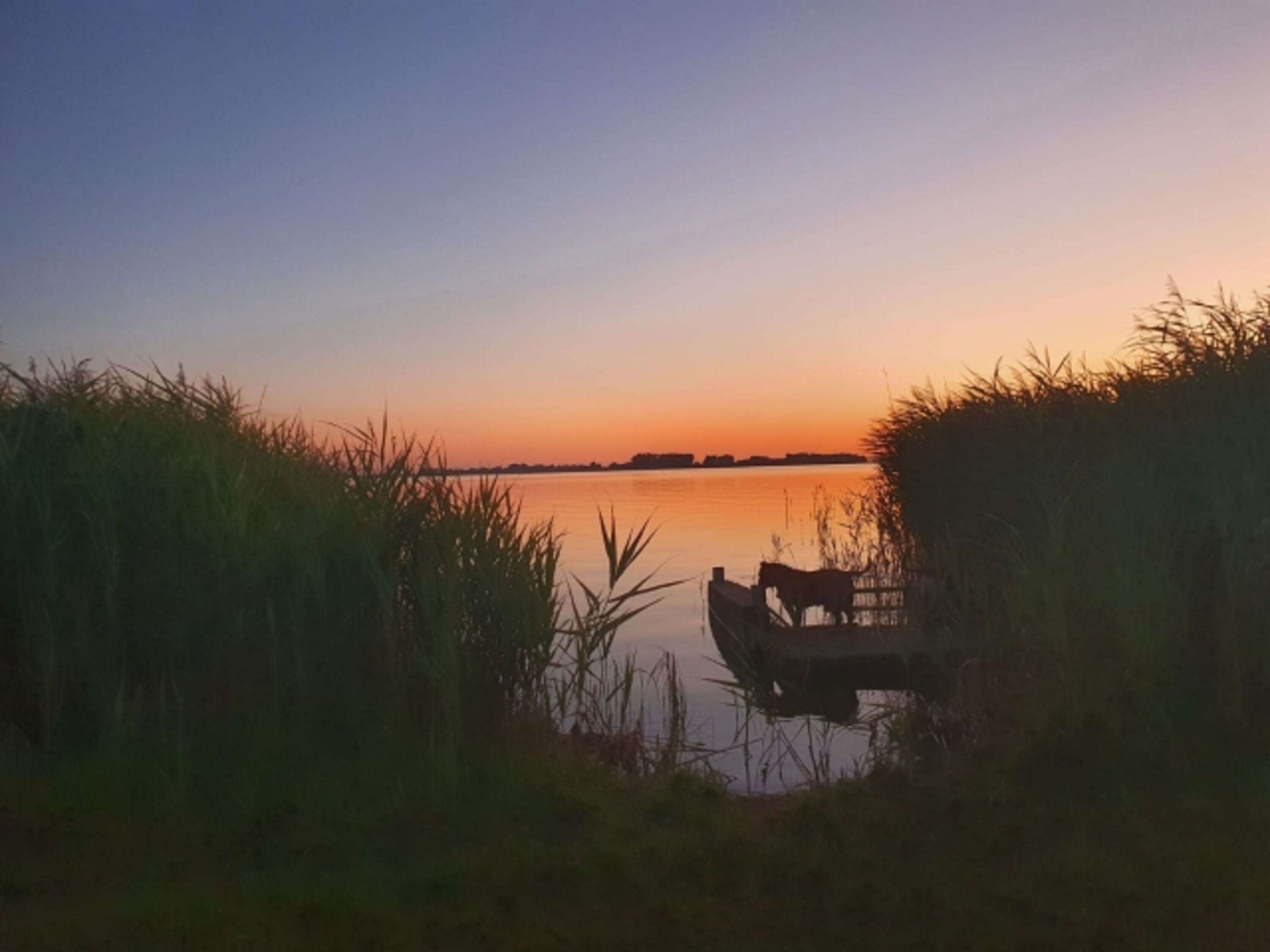 Bodden