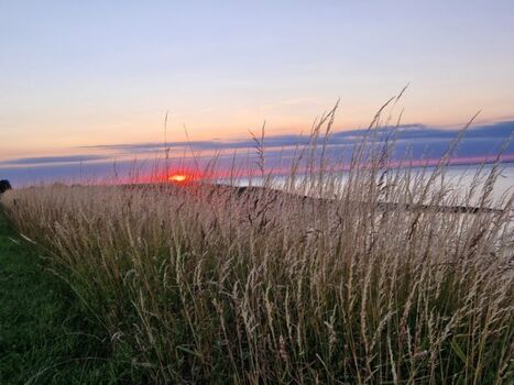 Dünen, Strände, Natur