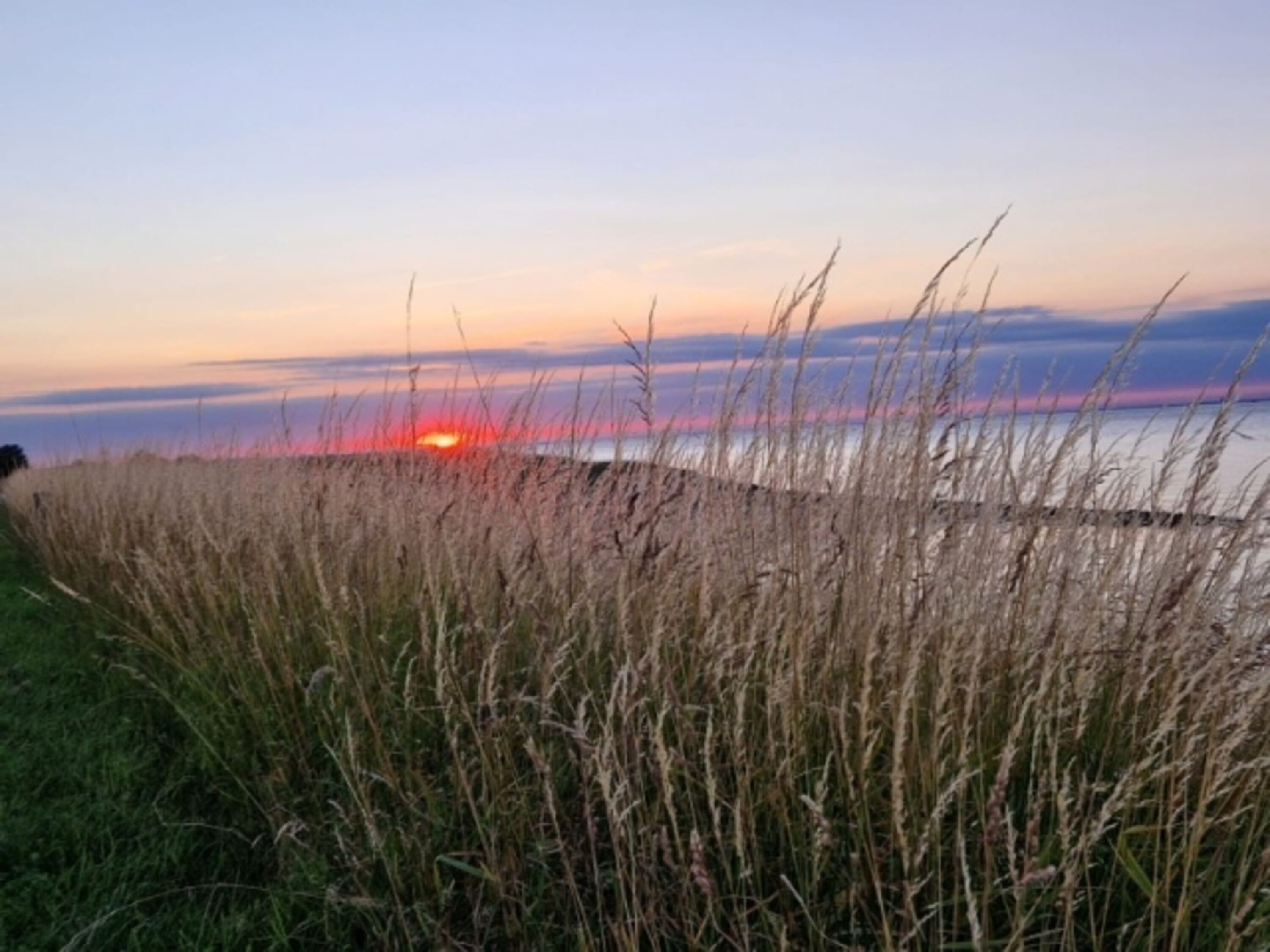 Dünen, Strände, Natur