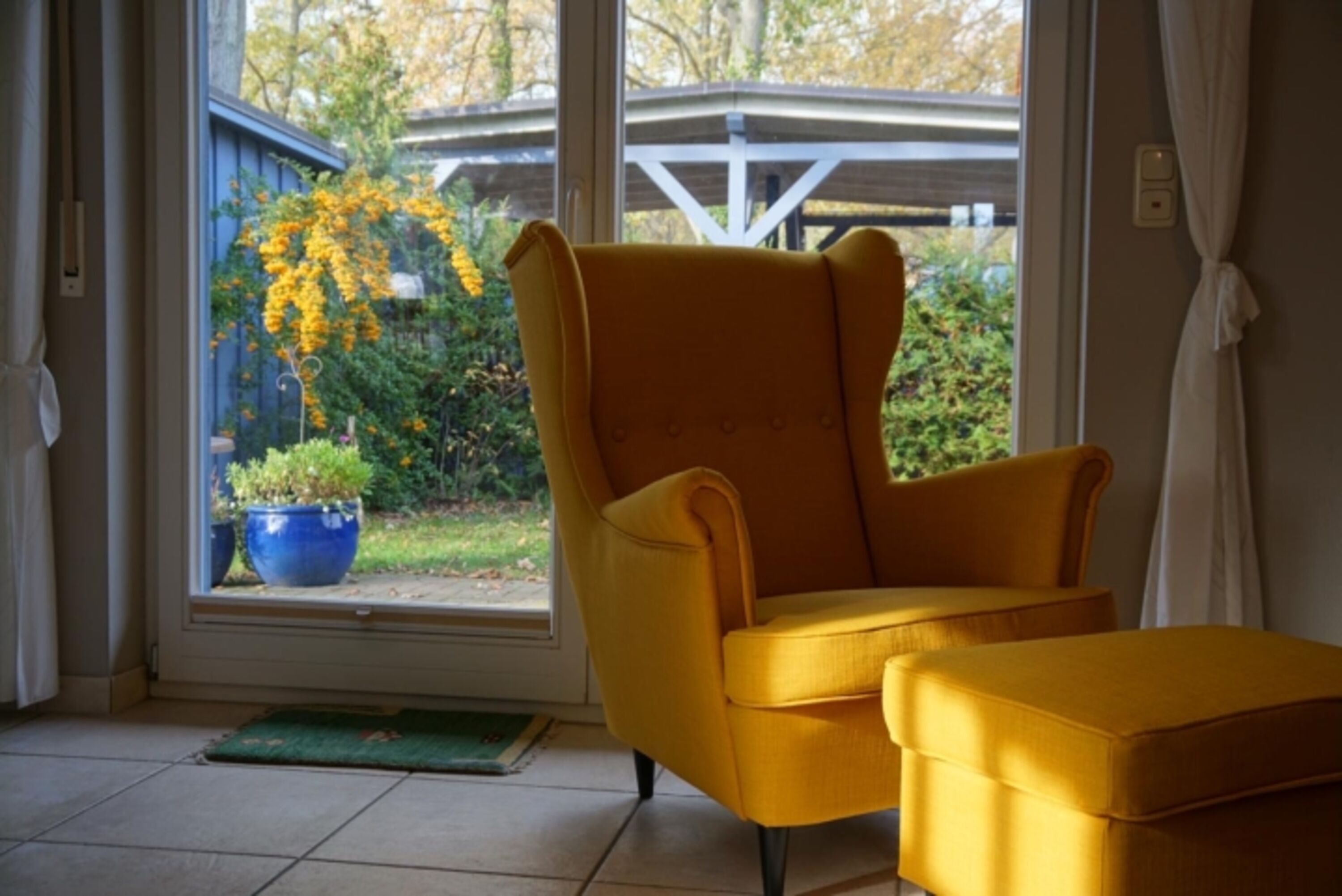 Blick in den Garten