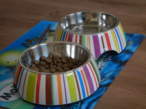 Hunde herzlich willkommen