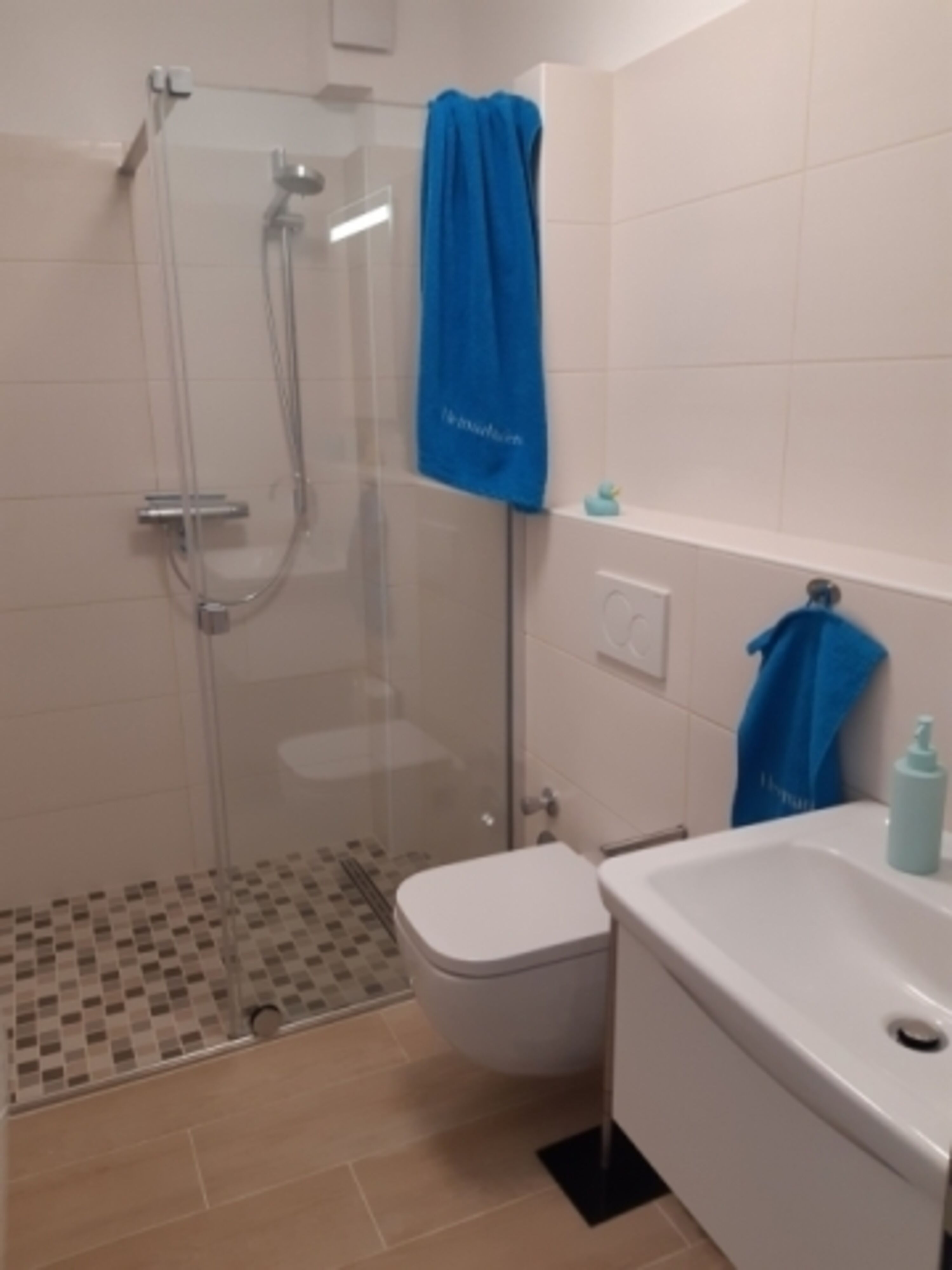 Bodentiefe Dusche