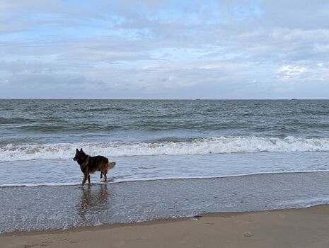 kilometerlange Sandstrände