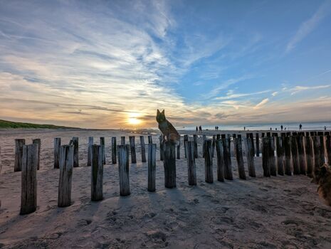 kilometerlange Sandstrände