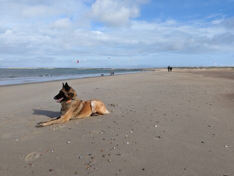 kilometerlange Sandstrände an der Nordsee