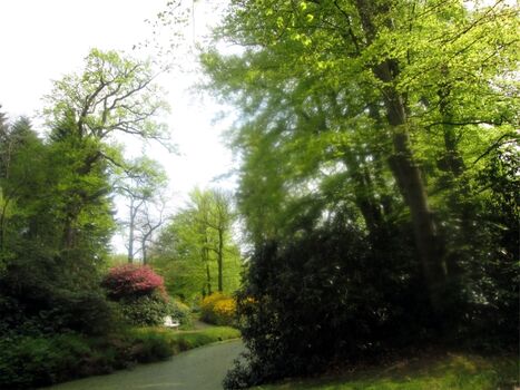 Impression Schloss Lütetsburg