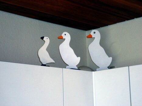 Dieses Federvieh braucht kein Futter