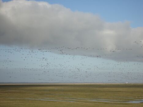 auf dem Weg in den Süden