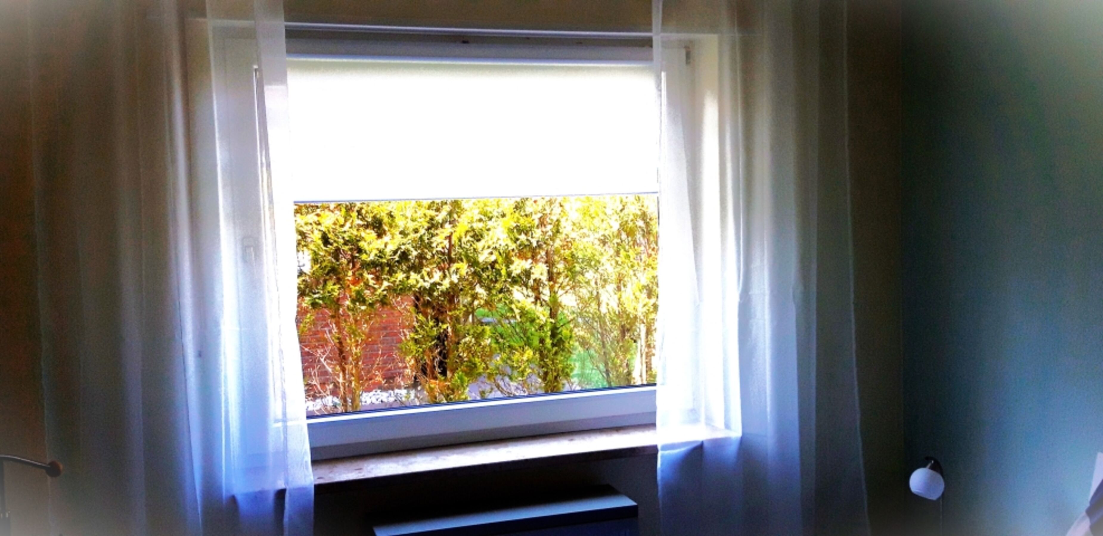 Blick aus dem Schlafzimmer