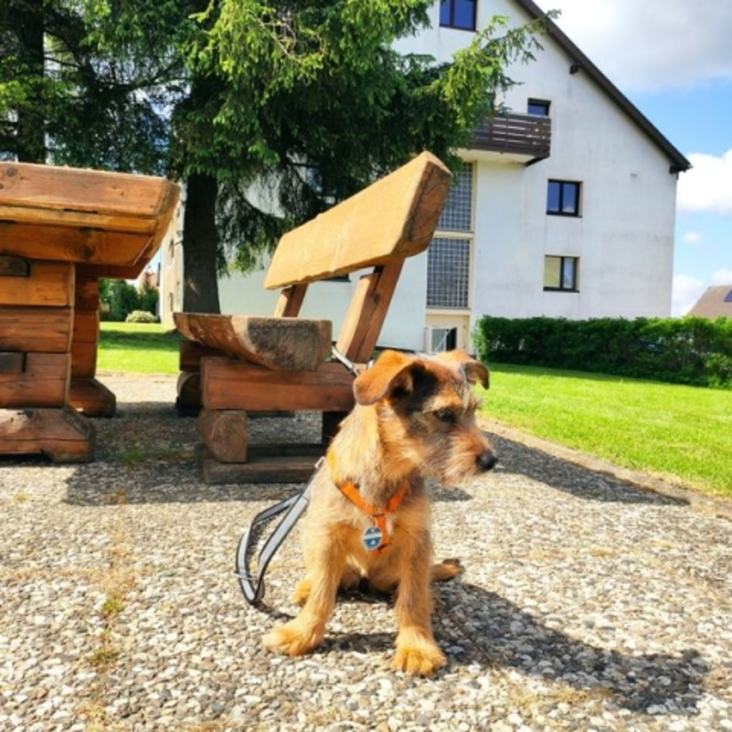 Haus und Garten