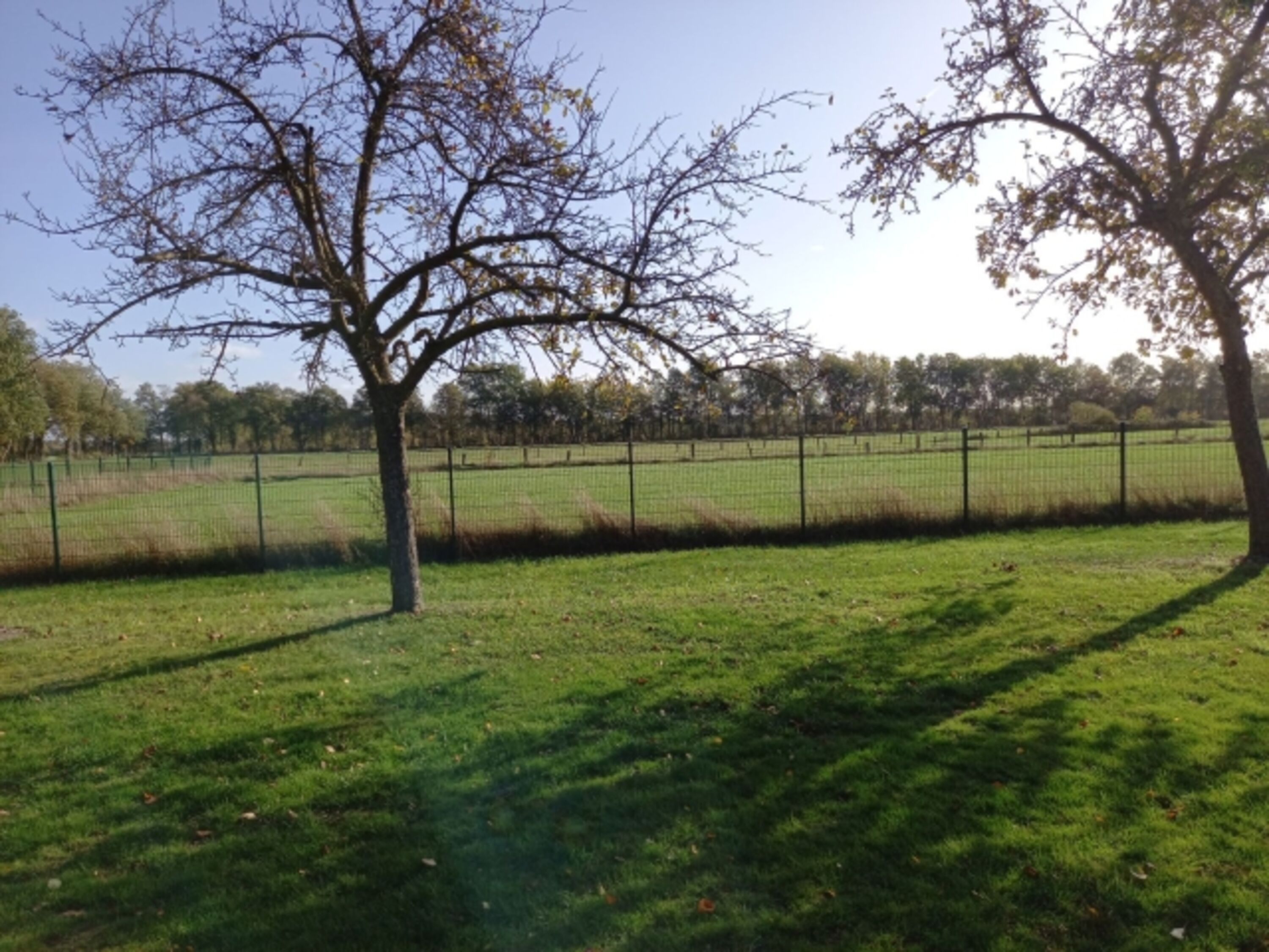 Aussicht 2