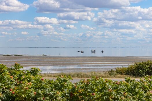 Terrasse mit Meerblick