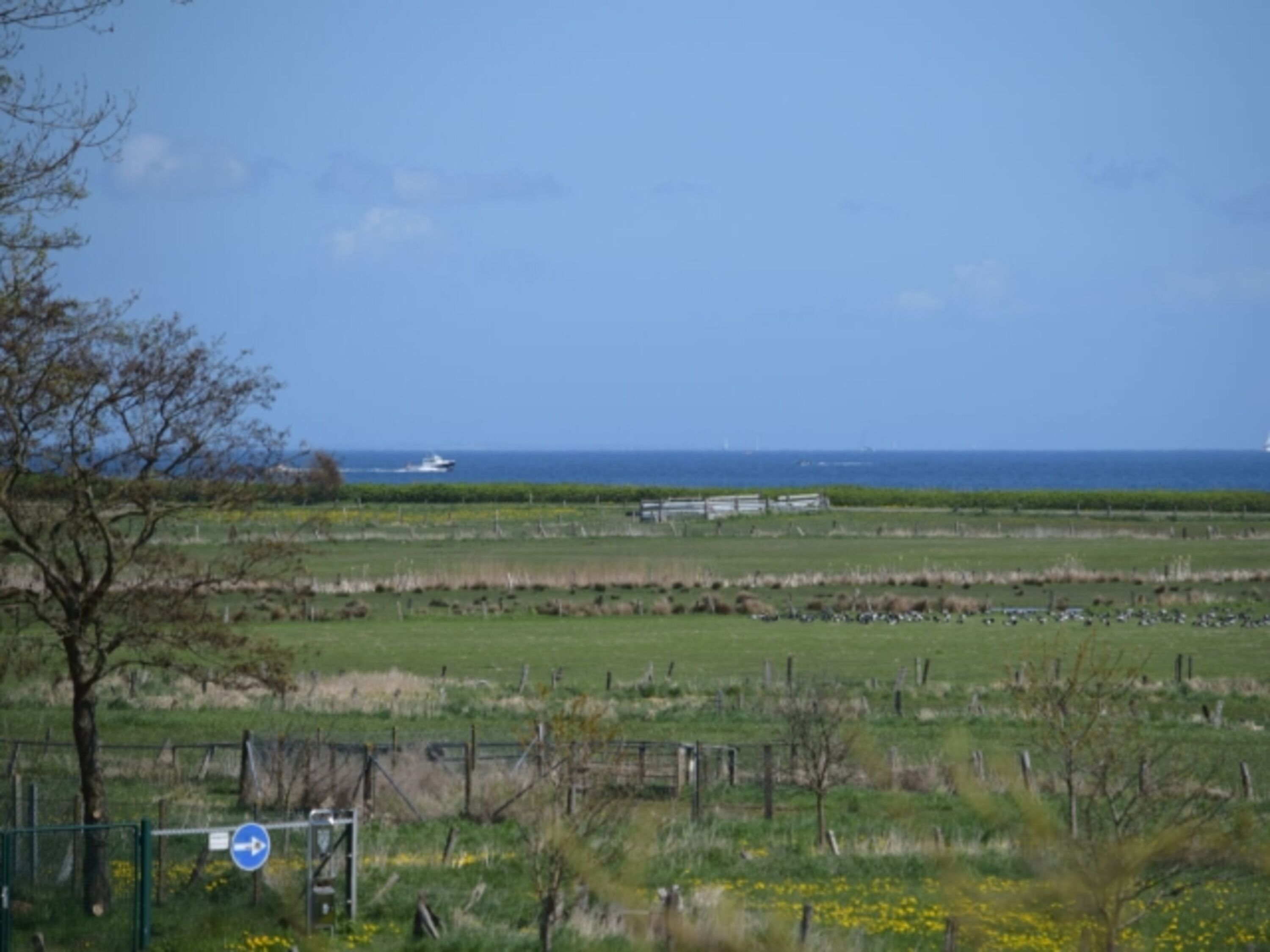 Bild 16