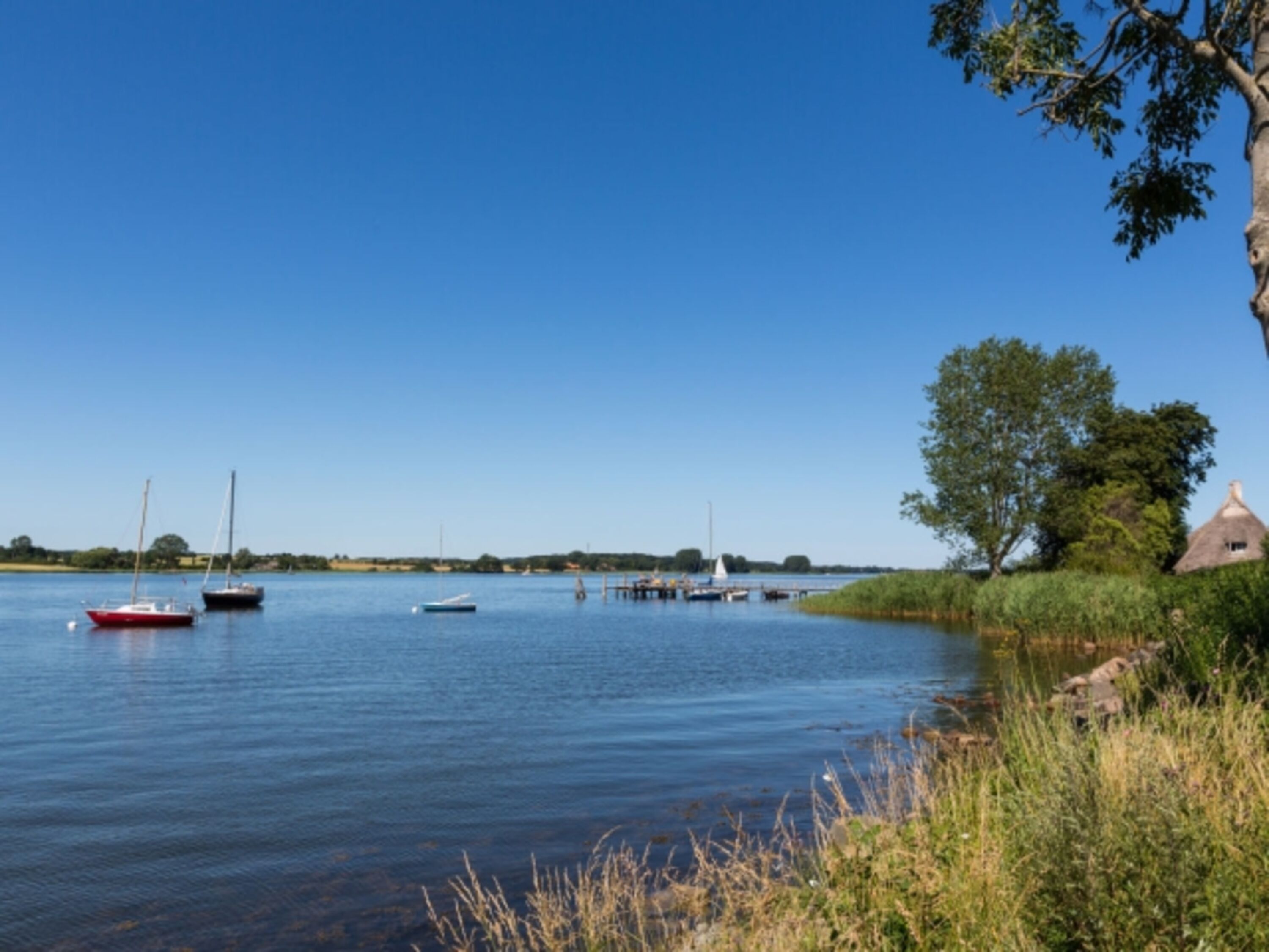 Bild 15