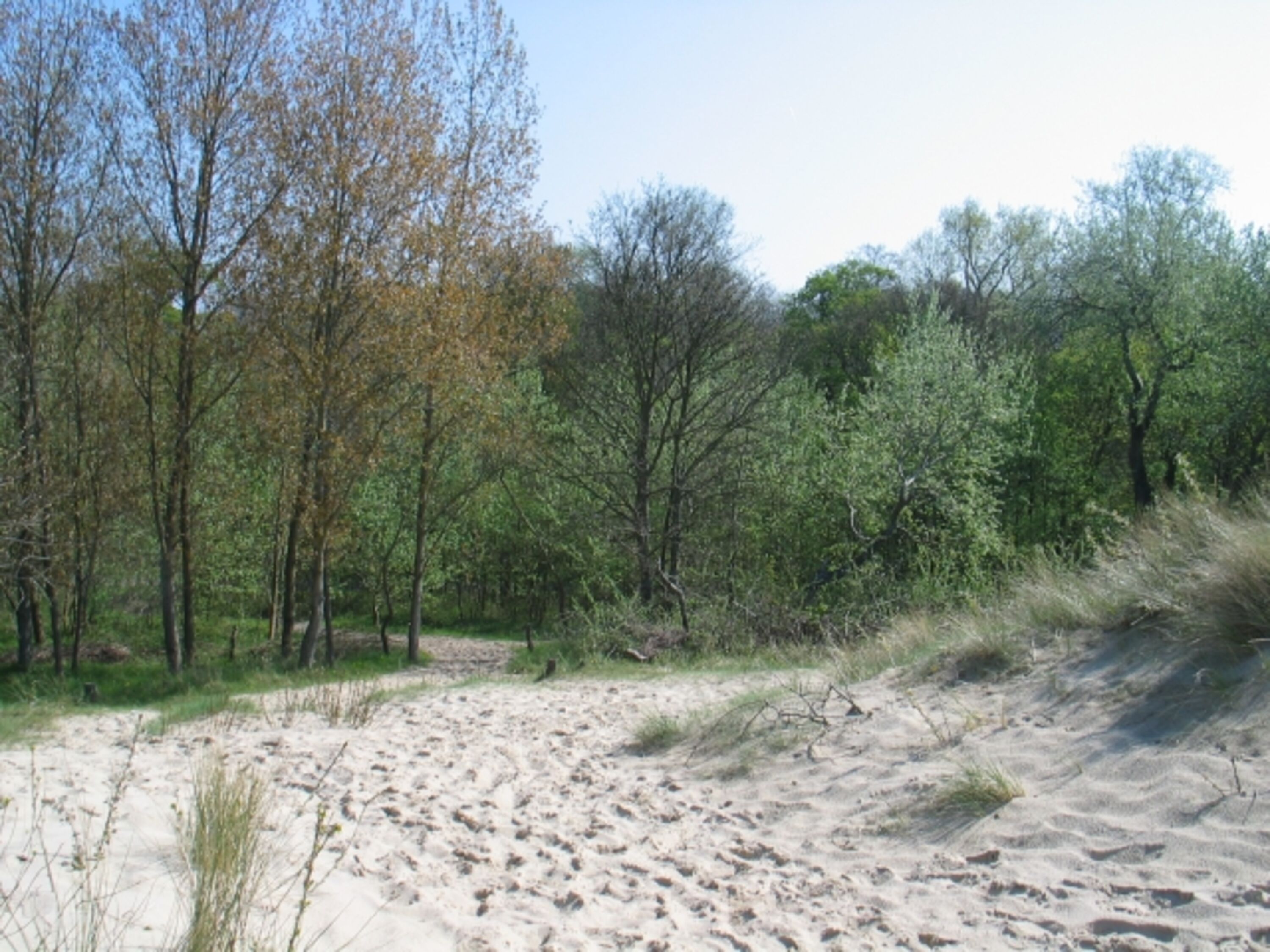 Bild 20