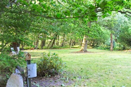 Außenanlage im Sommer