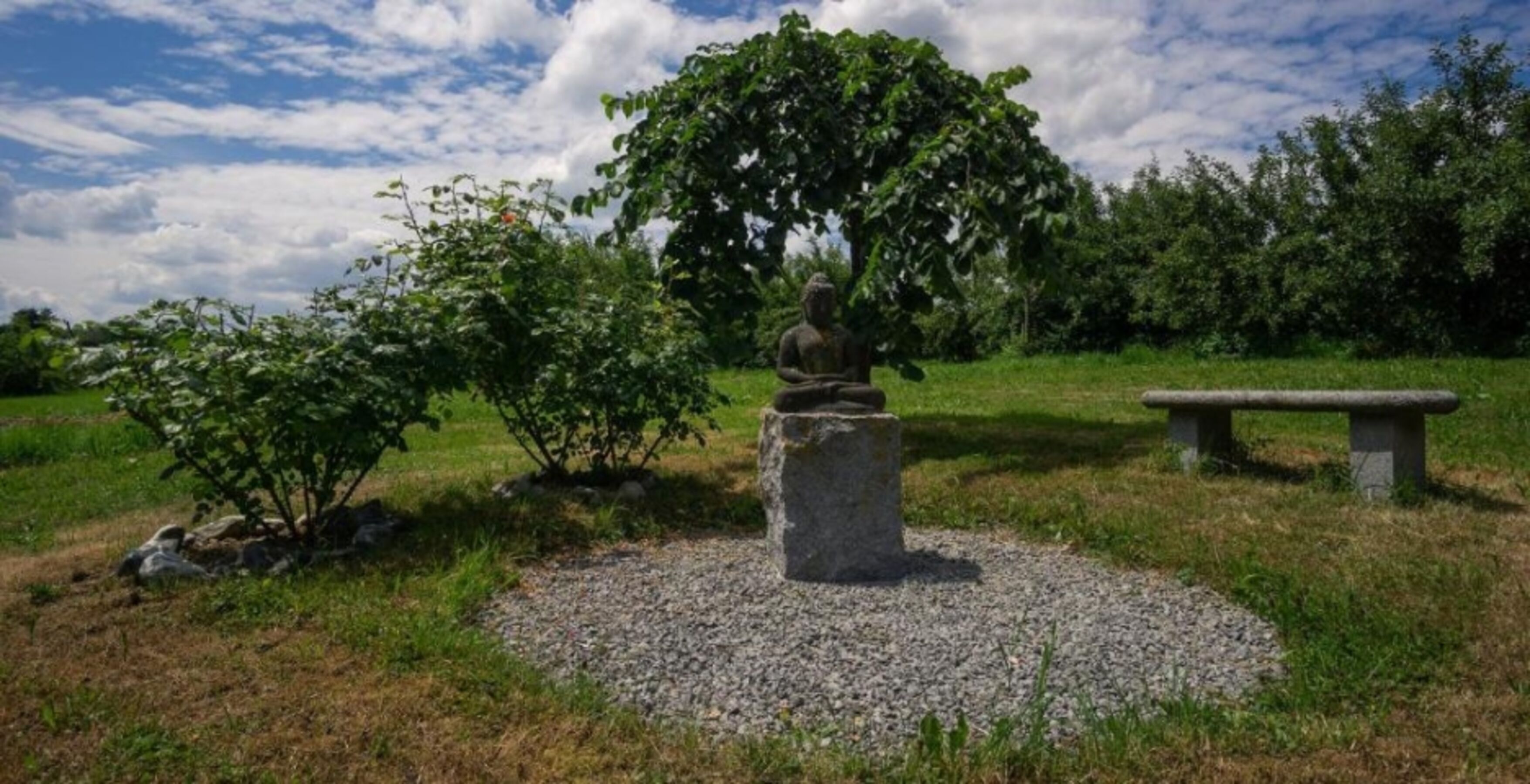 Bild 15