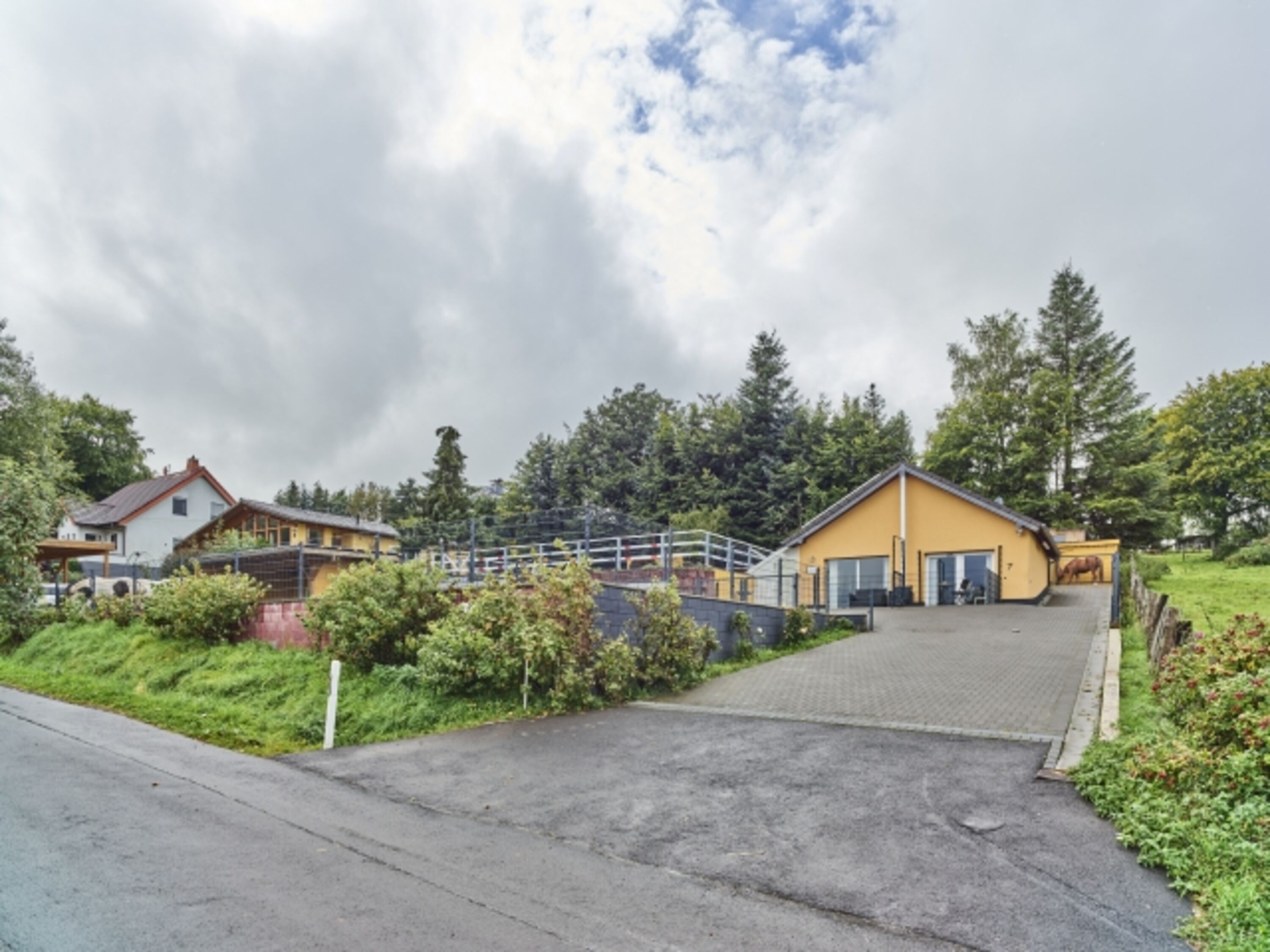 Blick auf Haus Tierfreund mit Auffahrt und Paddock