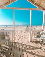Willy Zuid - Bungalow mit Terrasse am Strand mit Meerblick 