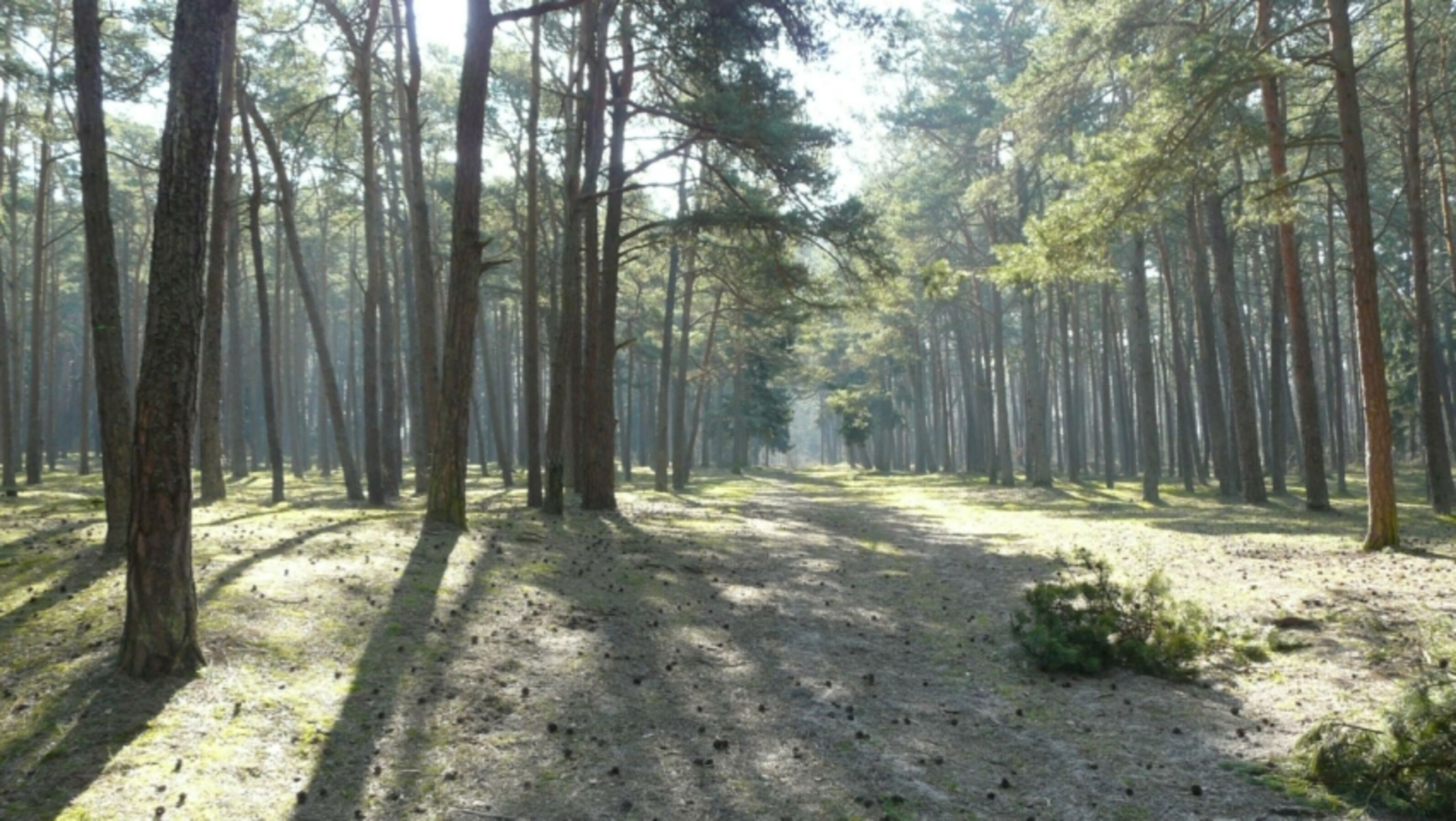 Bild 28