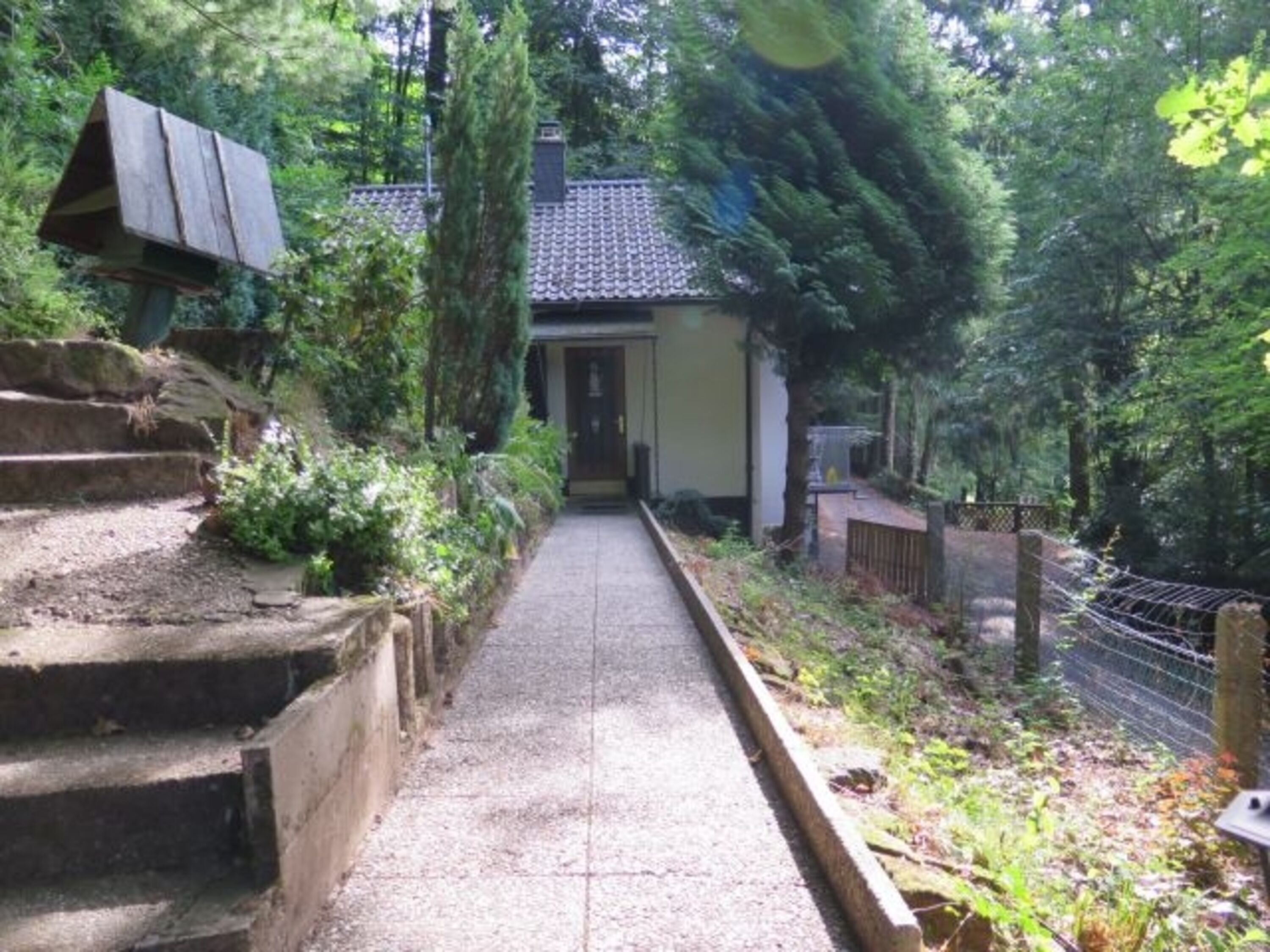 das kleine Waldhaus
