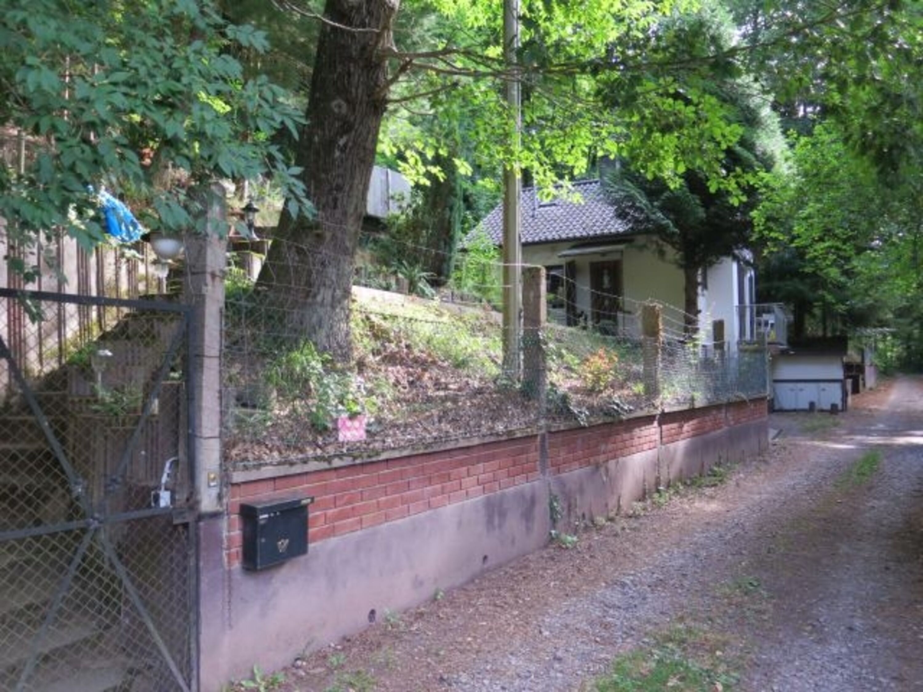 das kleine Waldhaus