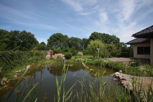 Haus Jule - Blick über den Gartenteich