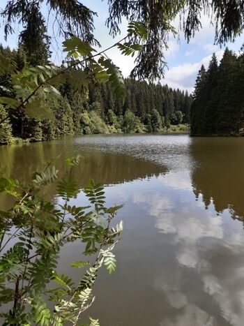 Die Teiche der Umgebung 