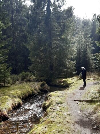 Wandern um hahnenklee 