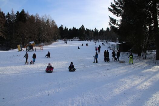 rodeln im Winter am Bocksberg