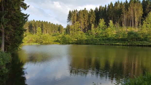 Wandern um die Teiche der Umgebung