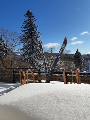 Blick vom Balkon zum Bocksberg