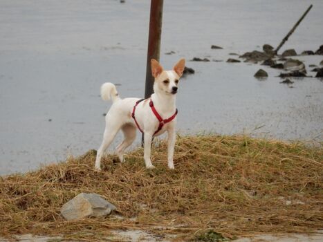 Was kann ich hier machen?