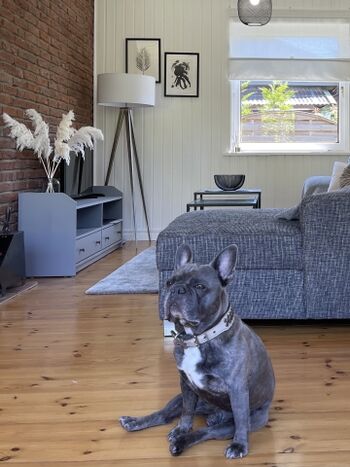 Sie und Ihr Vierbeiner sind herzlich willkommen