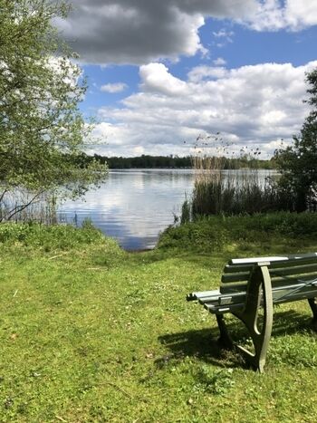 Privater Hundestrand / Badestelle